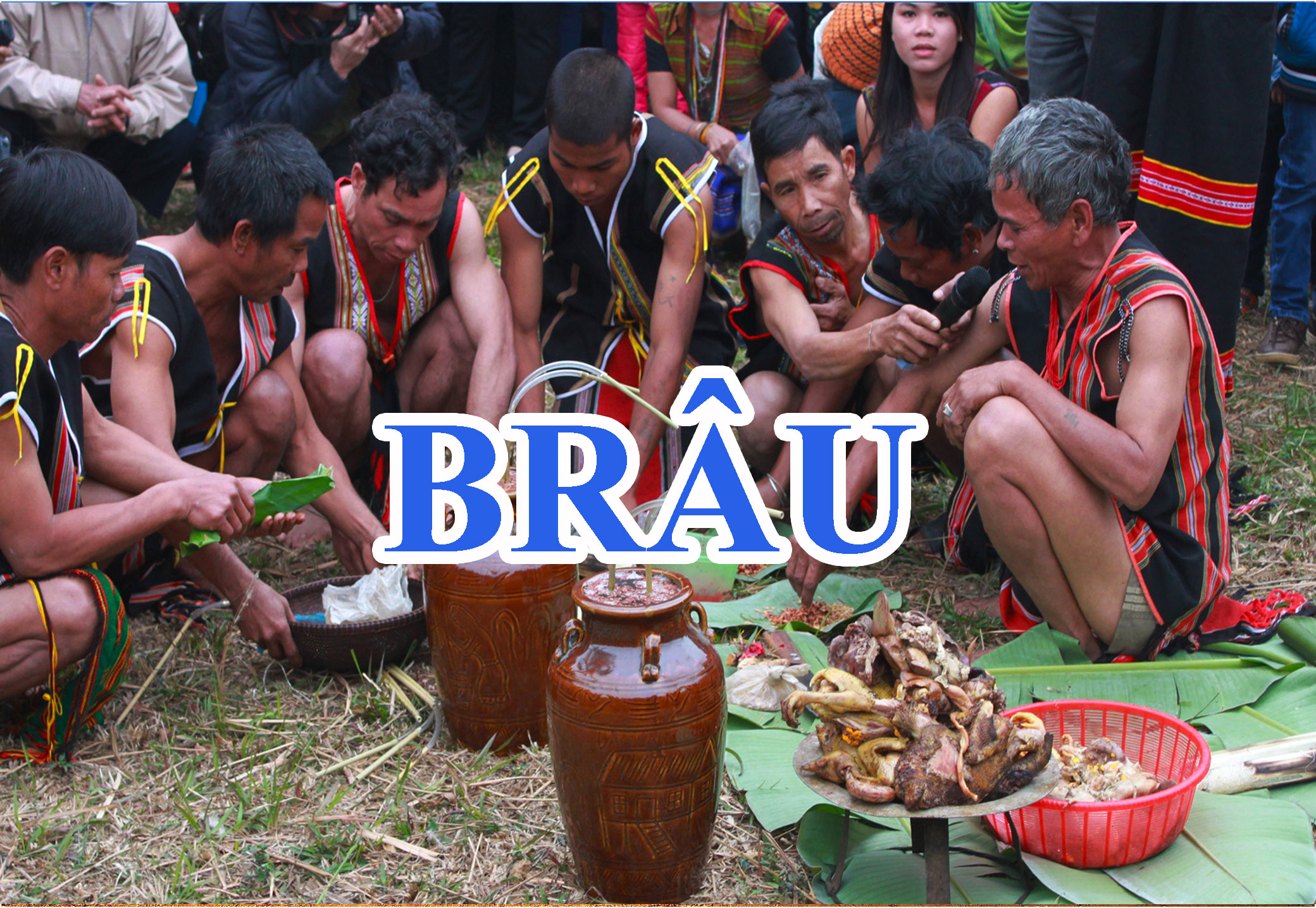 Brâu