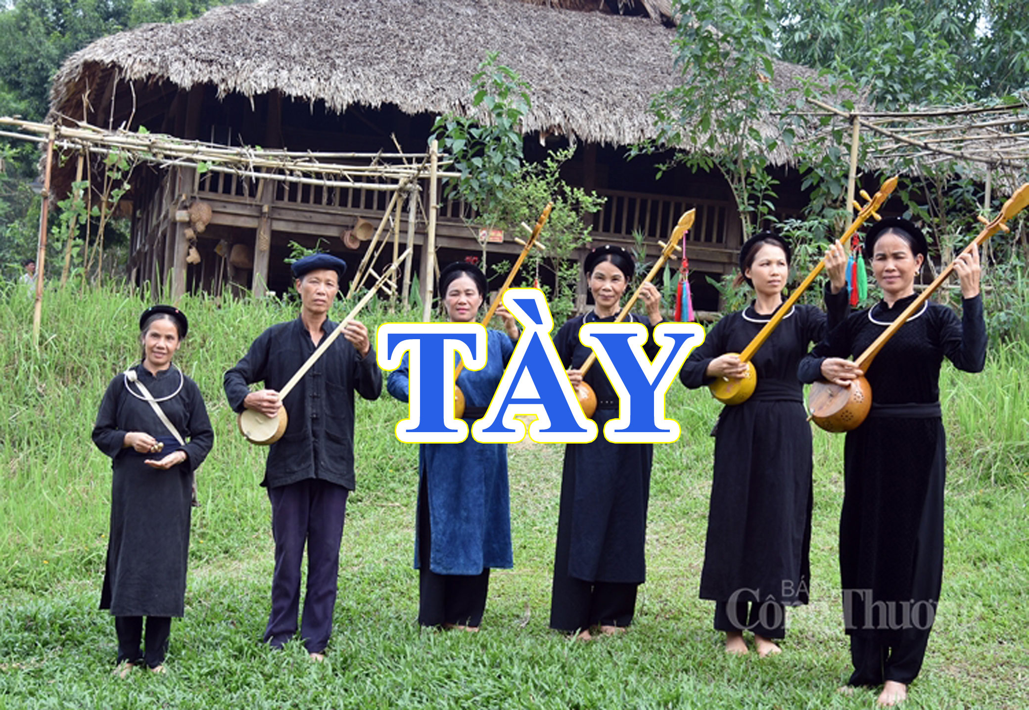 Tày