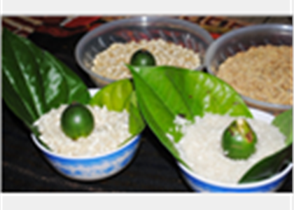 [Photo] Lễ hội ăn đầu lúa mới của dân tộc Raglai 