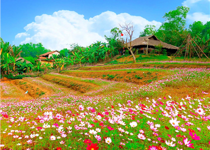 Sắc Xuân tại Làng Văn hóa - Du lịch các dân tộc Việt Nam
