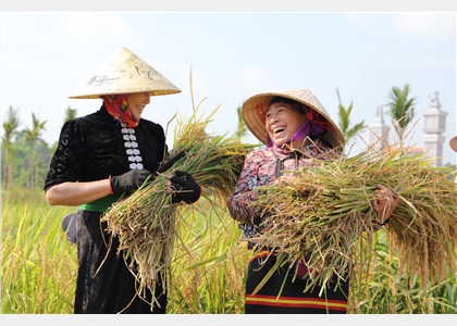 Phát động Cuộc thi ảnh “Nét đẹp Phụ nữ Ngành Văn hóa, Thể thao và Du lịch”