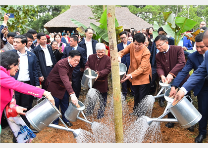 Những hình ảnh ấn tượng 