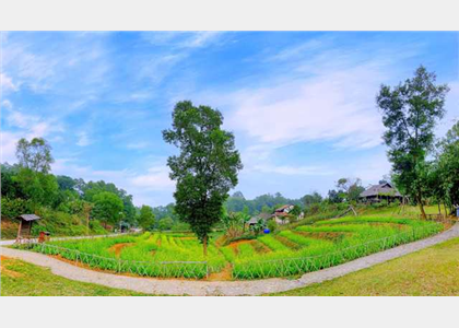Làng Văn hóa -Du lịch các dân tộc Việt Nam: điểm du lịch xanh - an toàn cho khách du xuân